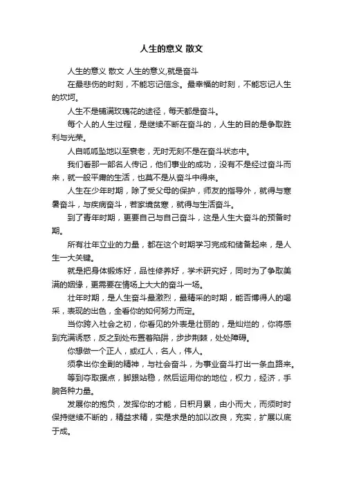 人生的意义散文