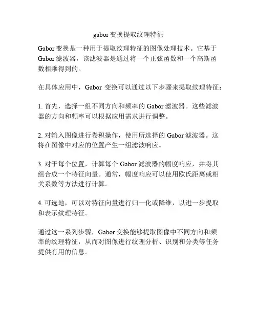 gabor变换提取纹理特征