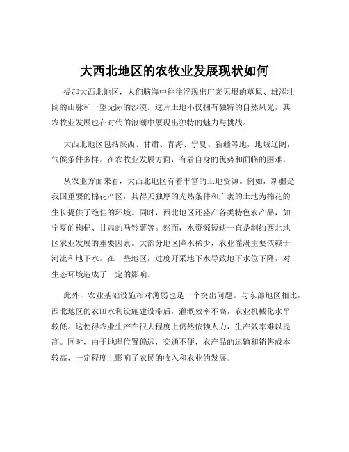 大西北地区的农牧业发展现状如何