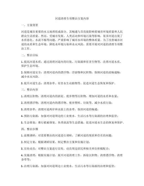 河道清理专项整治方案内容
