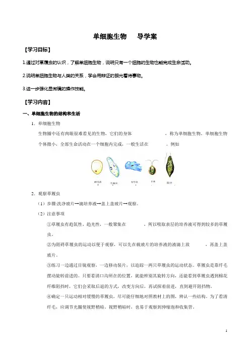 生物 七年级上册单细胞生物 导学案