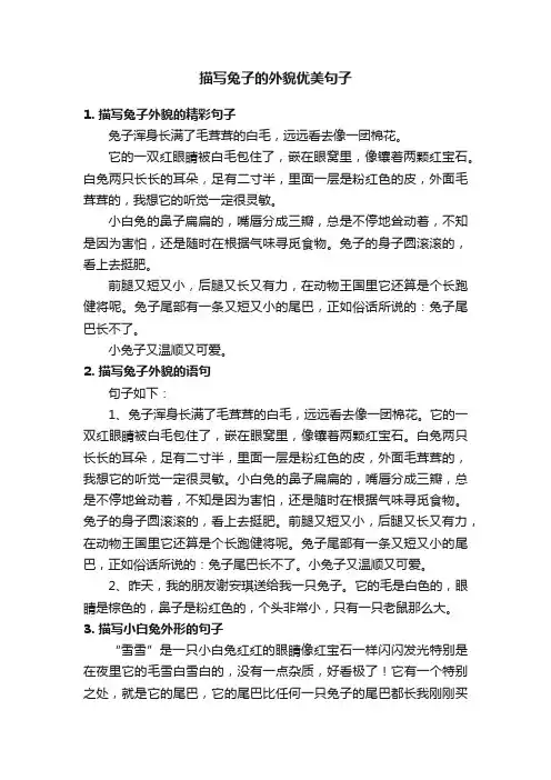 描写兔子的外貌优美句子