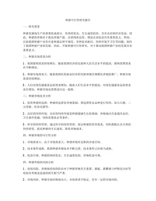 种猪可行性研究报告