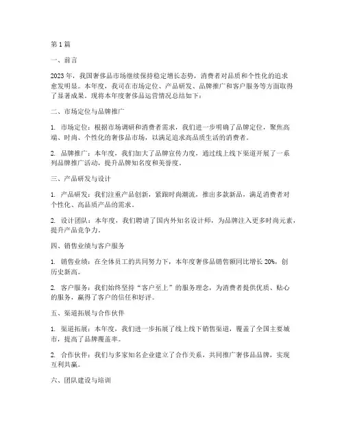 奢侈品年度运营总结(3篇)