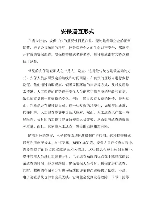 安保巡查形式