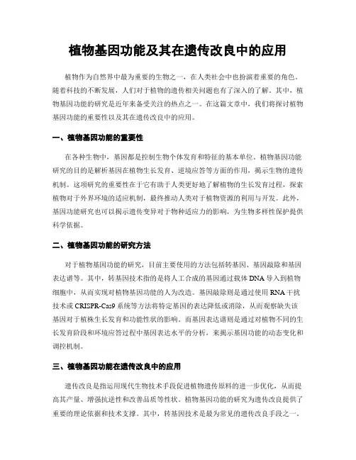 植物基因功能及其在遗传改良中的应用