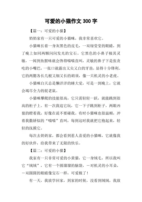 可爱的小猫作文300字-1