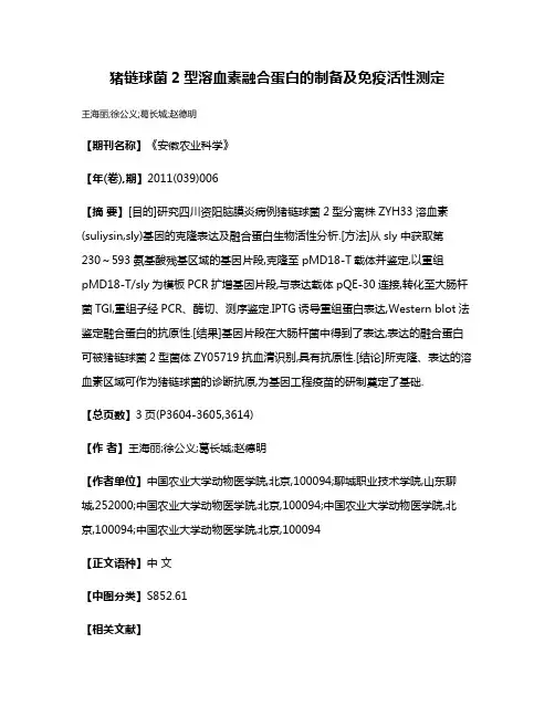 猪链球菌2型溶血素融合蛋白的制备及免疫活性测定