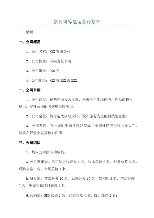 新公司筹建运营计划书