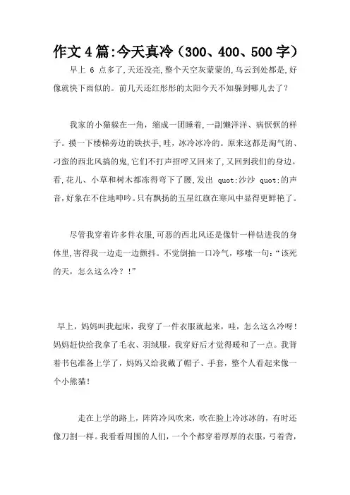 作文4篇-今天真冷(300、400、500字)