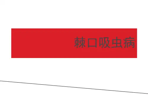 棘口吸虫病