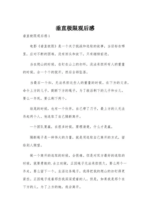 垂直极限观后感