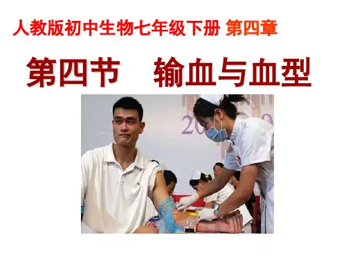 人教版七年级生物下册19第四章第四节 输血与血型