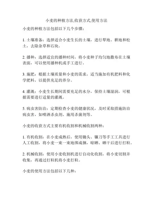 小麦的种植方法,收获方式,使用方法