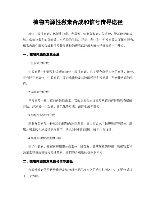 植物内源性激素合成和信号传导途径