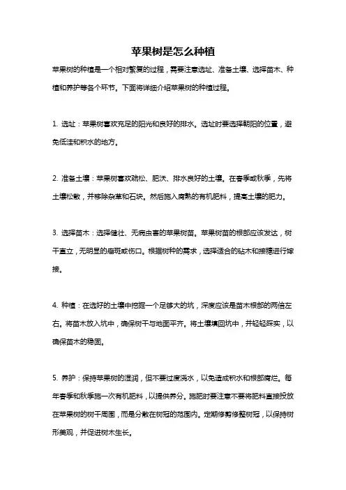 苹果树是怎么种植