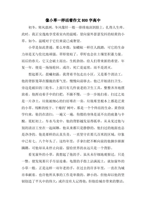 精选像小草一样活着作文800字高中