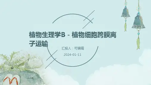 植物生理学B植物细胞跨膜离子运输