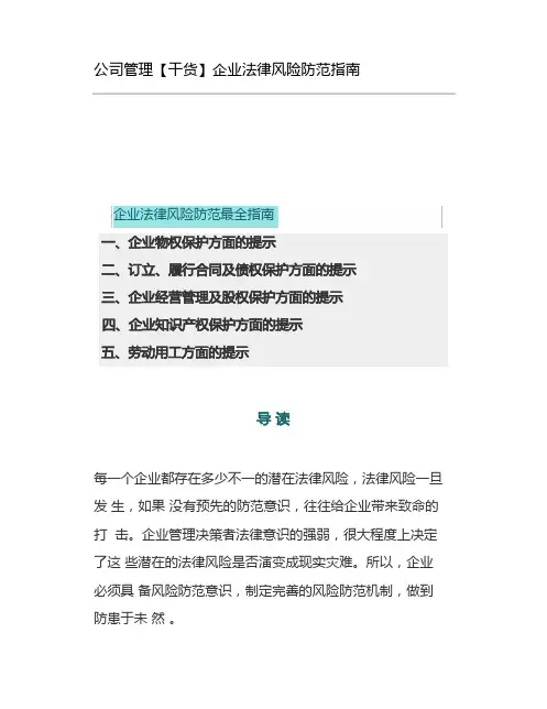 公司治理企业法律风险防范指南