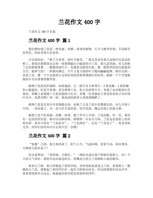 兰花作文400字