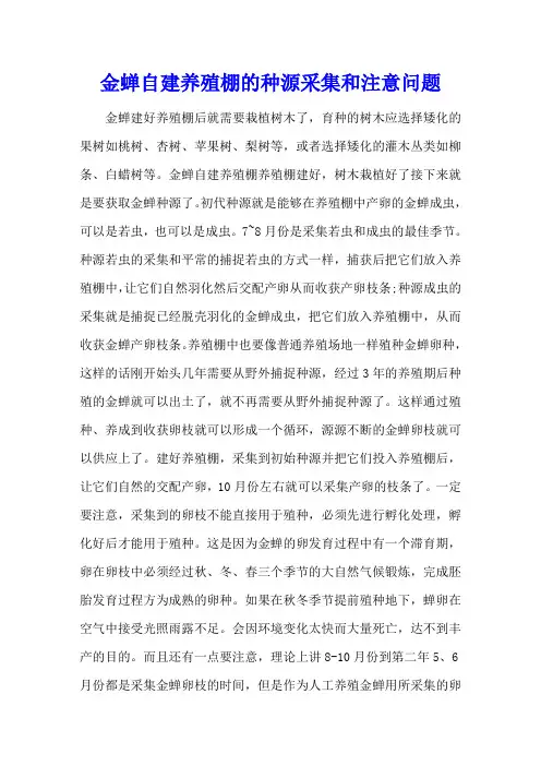 金蝉自建养殖网棚的种源采集和注意问题
