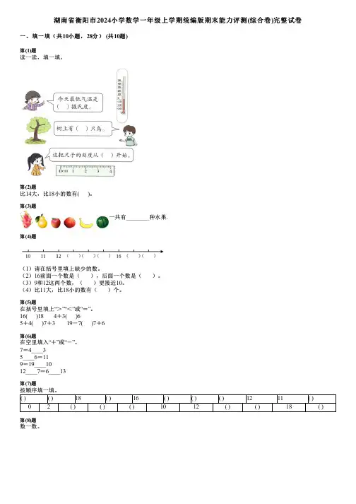湖南省衡阳市2024小学数学一年级上学期统编版期末能力评测(综合卷)完整试卷