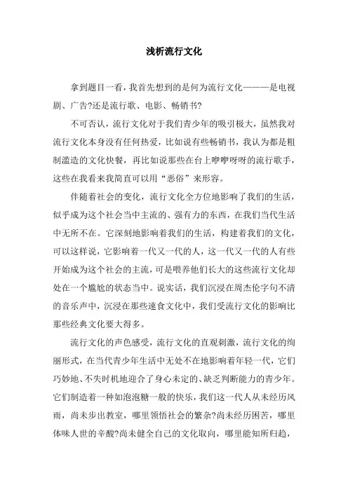 浅析流行文化