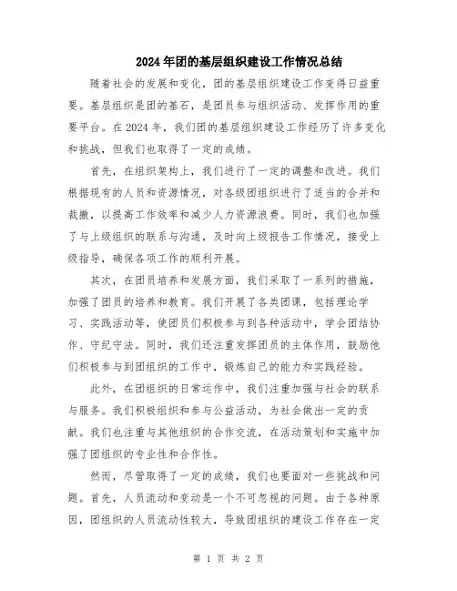 2024年团的基层组织建设工作情况总结