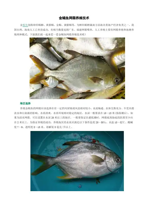 金鲳鱼网箱养殖技术