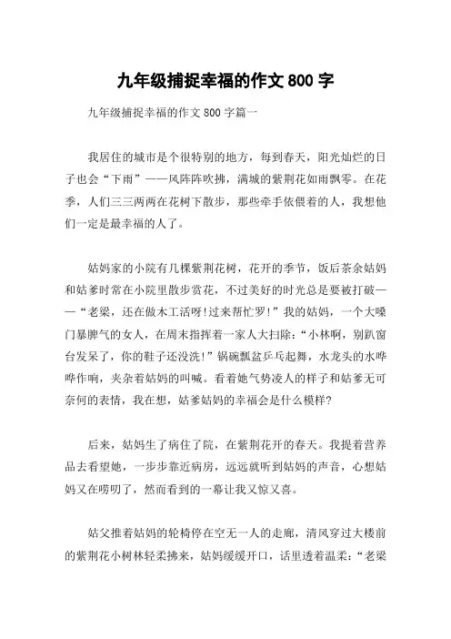 九年级捕捉幸福的作文800字
