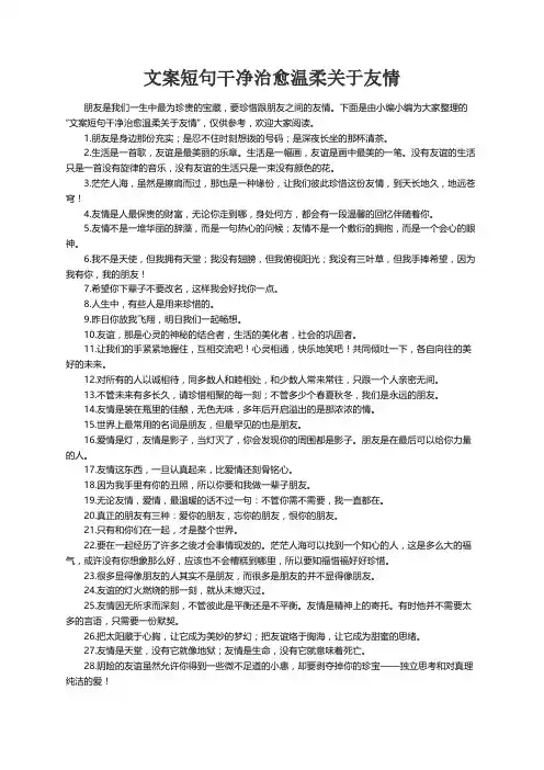 文案短句干净治愈温柔关于友情