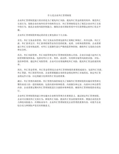 什么是企业外汇管理制度