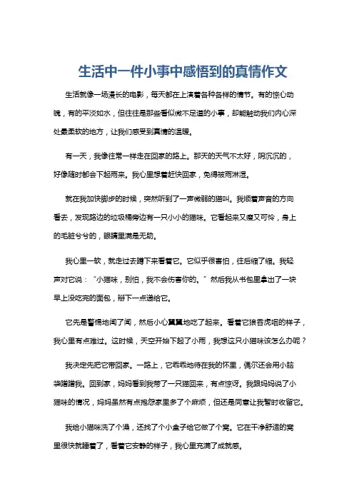 生活中一件小事中感悟到的真情作文