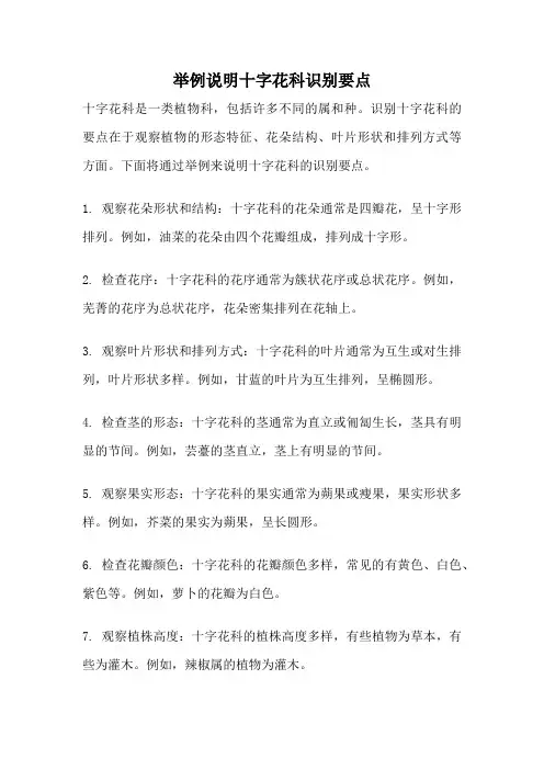 举例说明十字花科识别要点