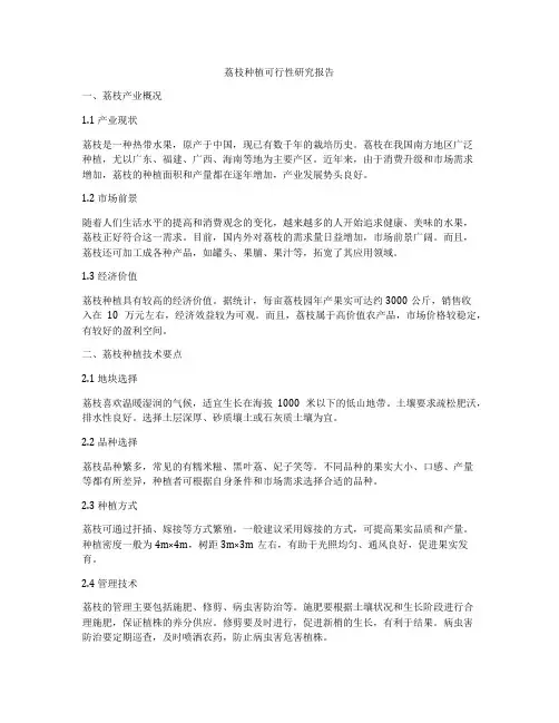 荔枝种植可行性研究报告