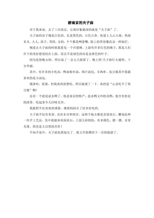游南京的夫子庙作文450字