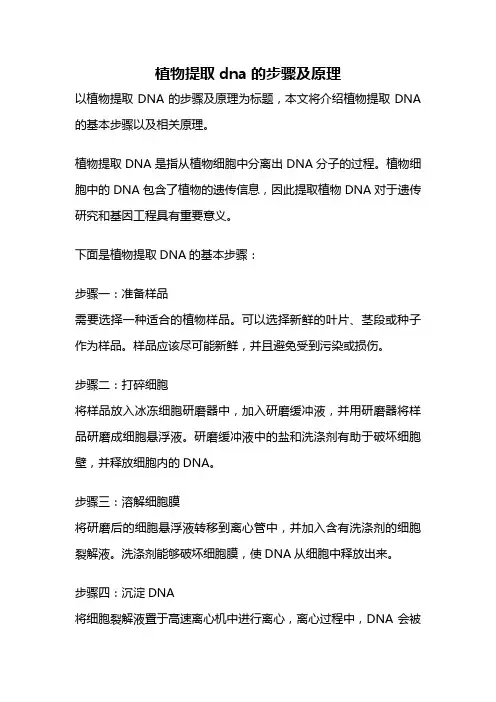 植物提取dna的步骤及原理