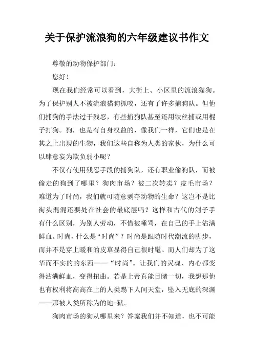 关于保护流浪狗的六年级建议书作文