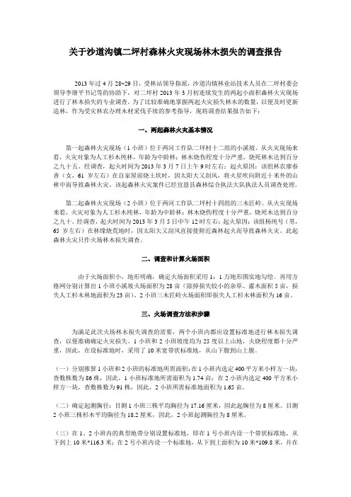 关于沙道沟镇二坪村森林火灾现场林木损失的调查报告