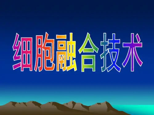 细胞融合