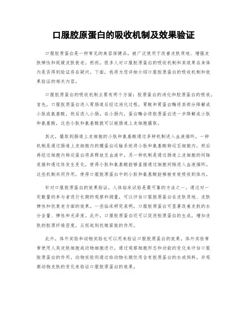 口服胶原蛋白的吸收机制及效果验证