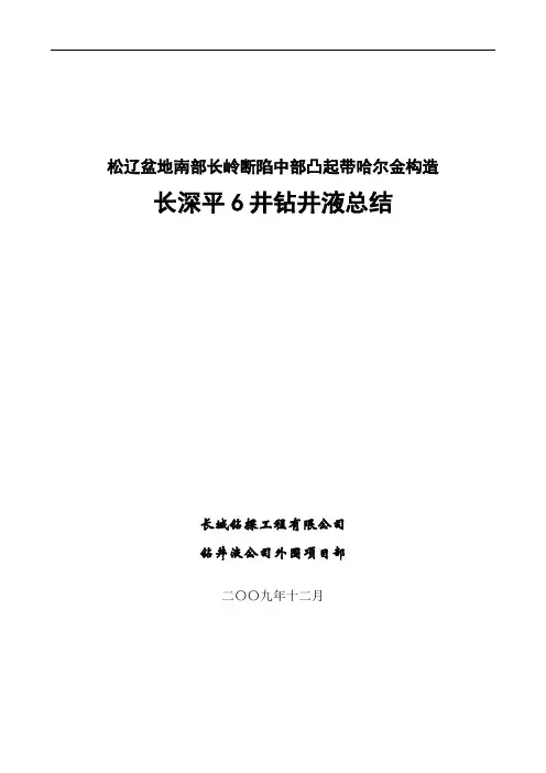 长深平井钻井液术总结