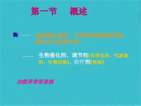 生物化学第篇  生物大分子的结构与功能酶 (共80张PPT)