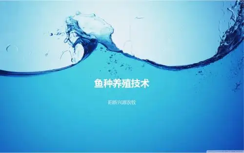 鱼种养殖技术