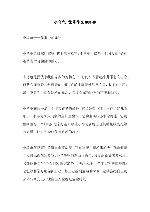 小乌龟 优秀作文800字