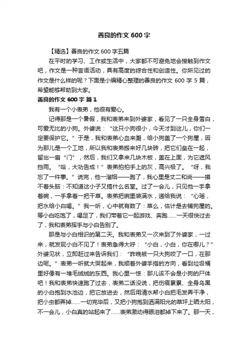 【精选】善良的作文600字五篇