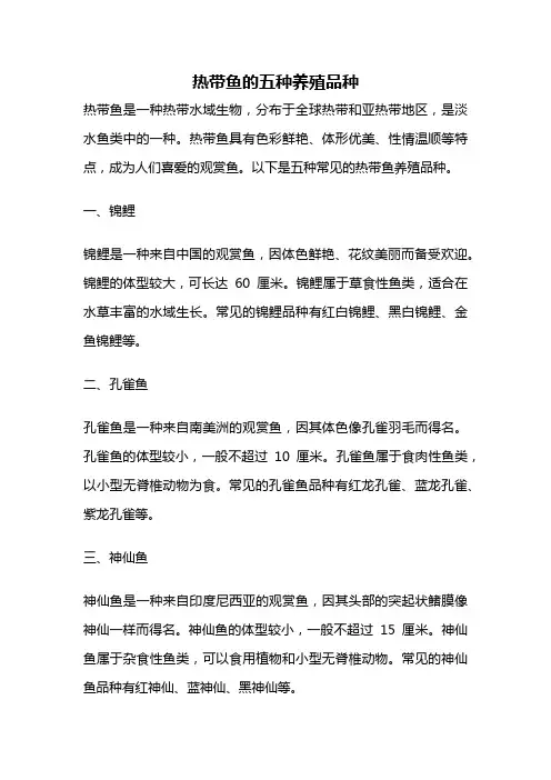 热带鱼的五种养殖品种
