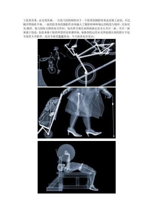 尼克.维西作品赏析