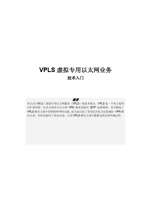 VPLS 虚拟专用以太网业务