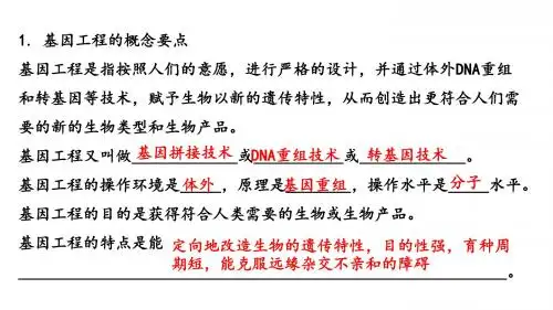 高中生物选修三复习课件(共23张PPT)